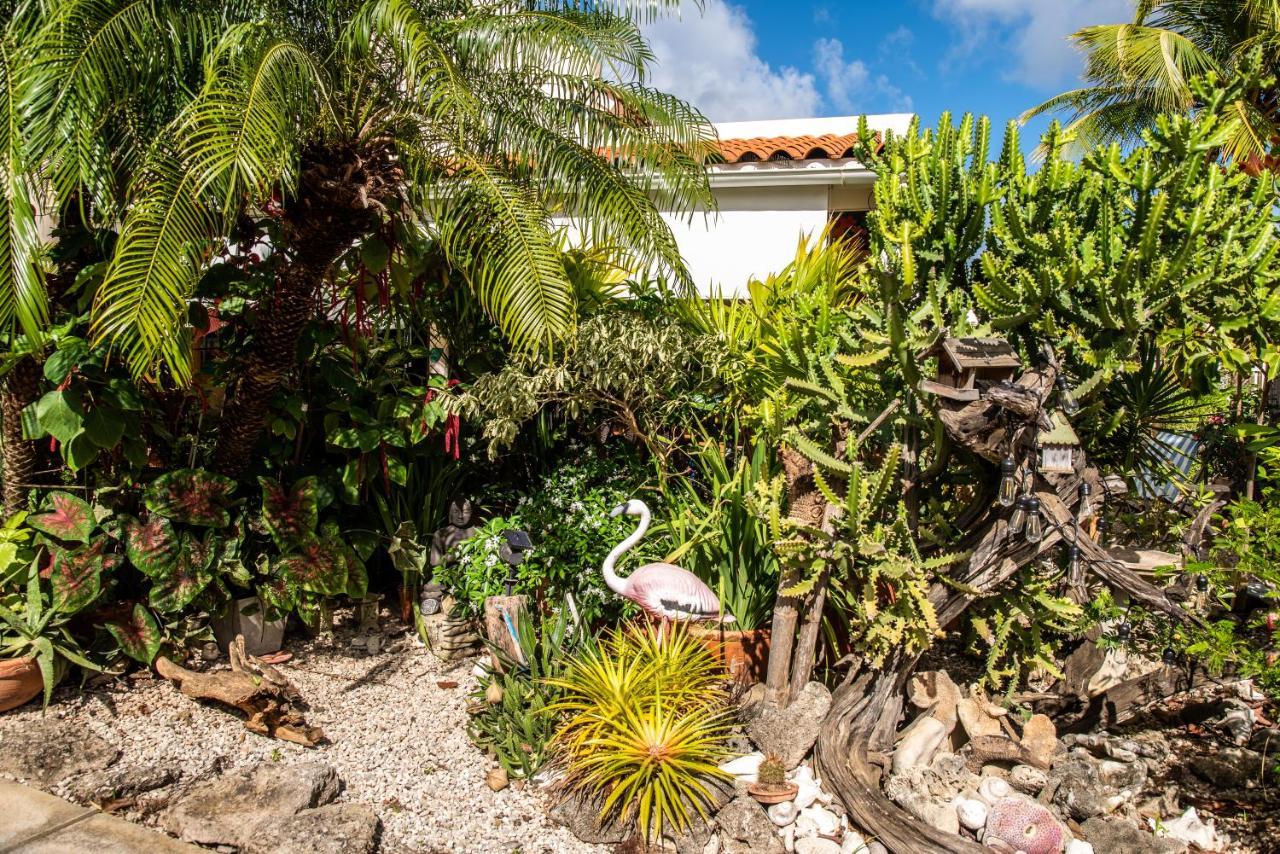 Hamlet Oasis Resort Kralendijk Exterior foto